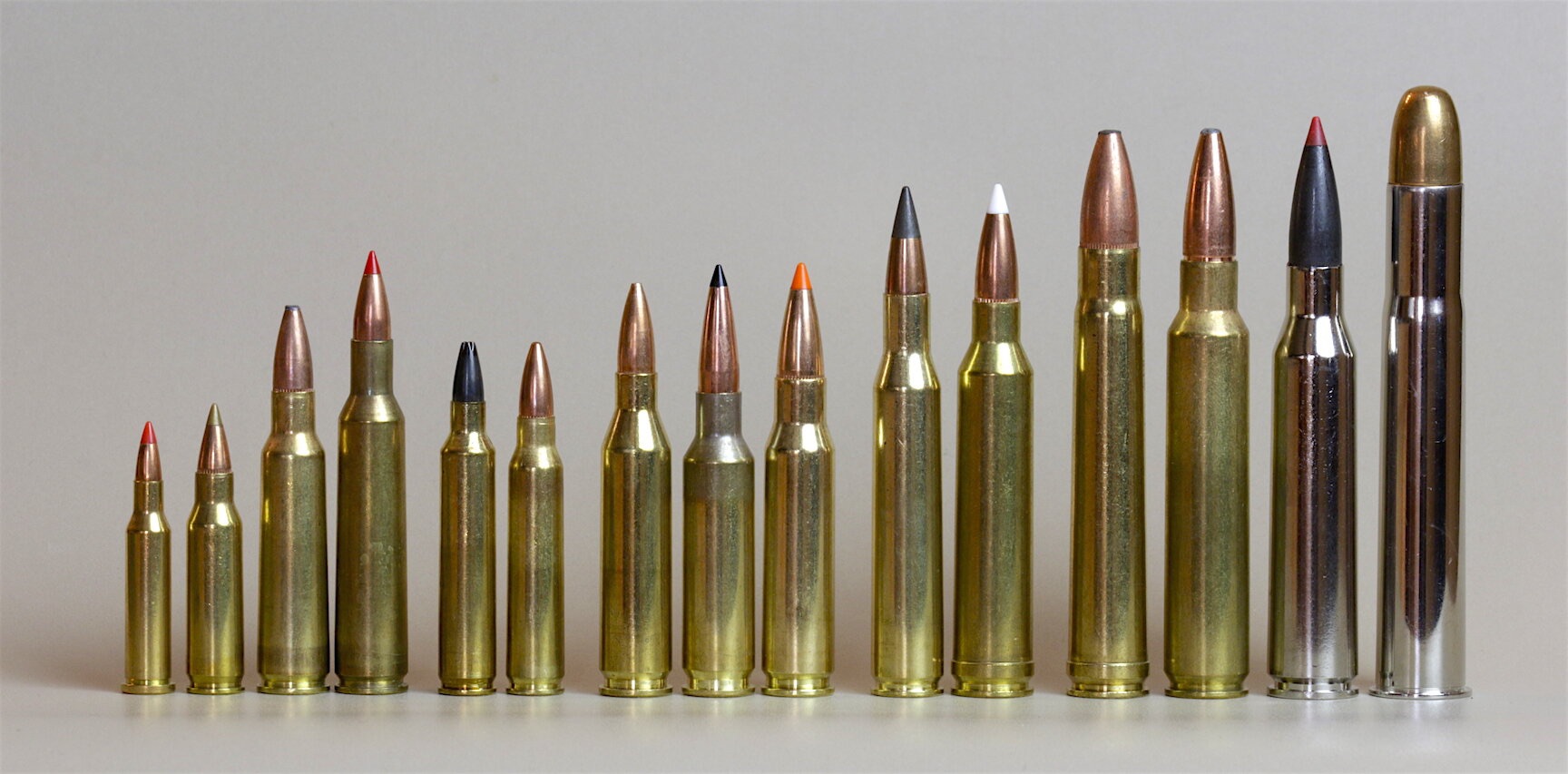 Understanding Different Bullet Types For Deer Hunting